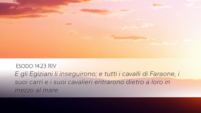 Esodo 14:23 RIV Bible Verse Image