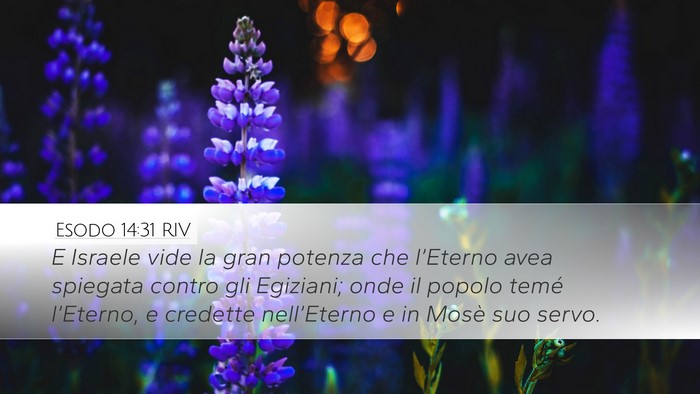 Esodo 14:31 RIV Bible Verse Image