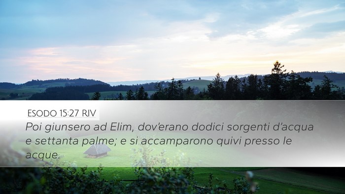 Esodo 15:27 RIV Bible Verse Image