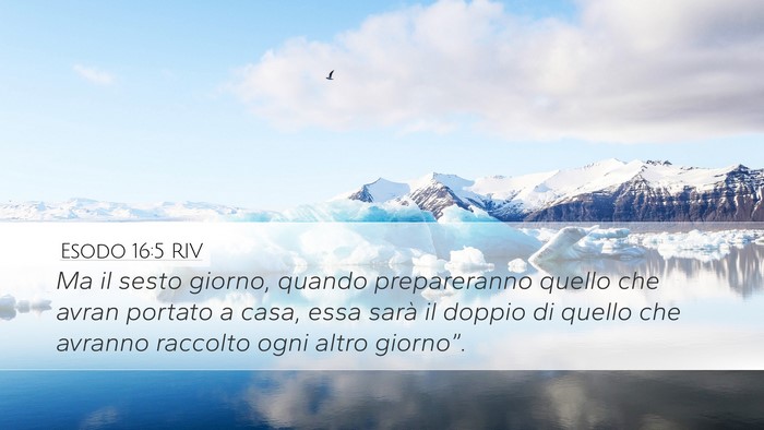 Esodo 16:5 RIV Desktop Wallpaper - Ma il sesto giorno, quando prepareranno quello - Desktop Bible Verse Wallpaper