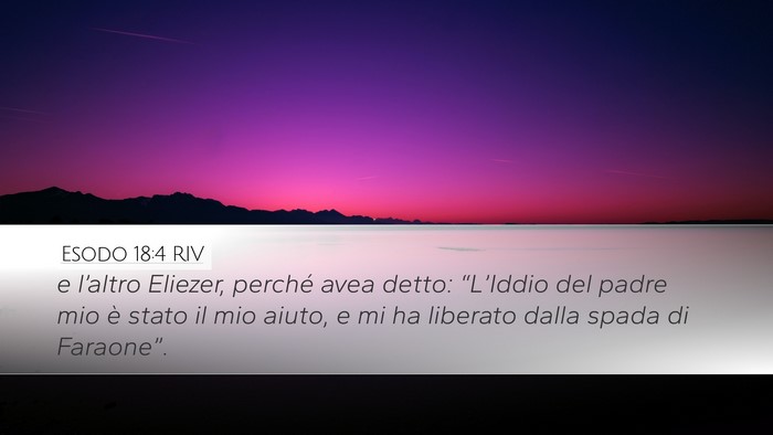 Esodo 18:4 RIV Desktop Wallpaper - e l’altro Eliezer, perché avea detto: - Desktop Bible Verse Wallpaper