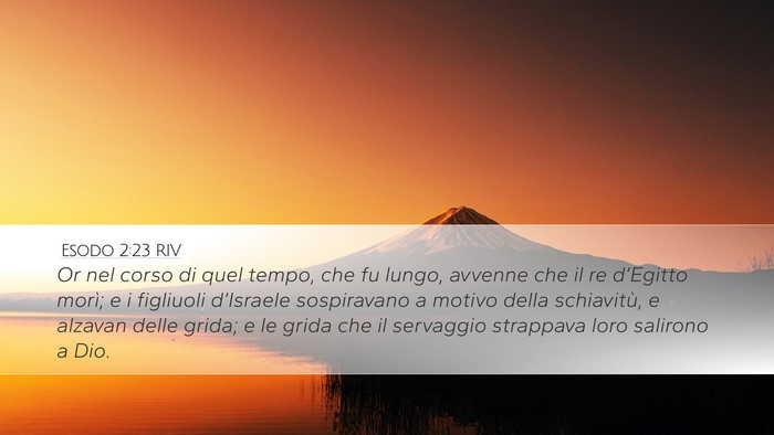 Esodo 2:23 RIV Bible Verse Image