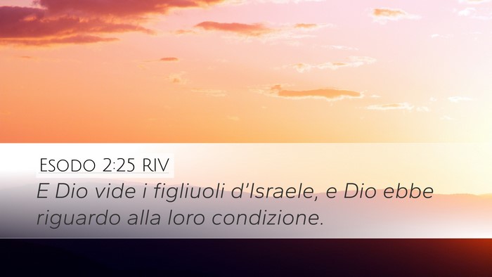 Esodo 2:25 RIV Bible Verse Image