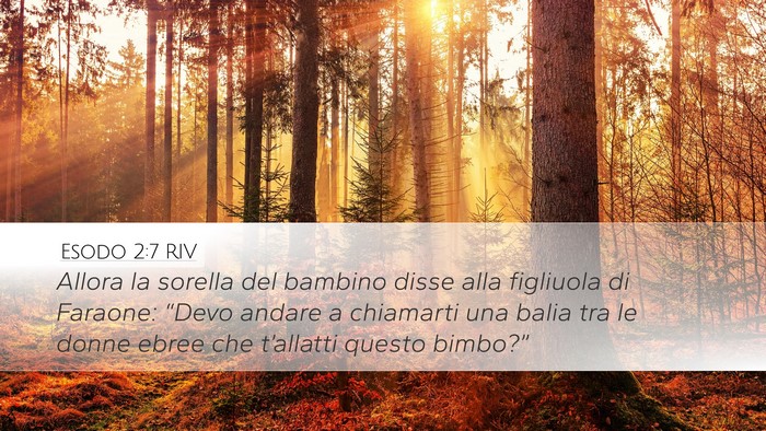Esodo 2:7 RIV Bible Verse Image