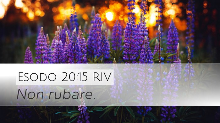 Esodo 20:15 RIV Bible Verse Image
