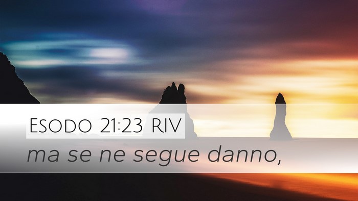 Esodo 21:23 RIV Bible Verse Image