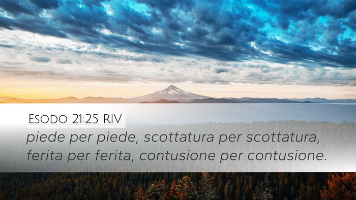 Esodo 21:25 RIV Desktop Wallpaper - piede per piede, scottatura per scottatura, - Desktop Bible Verse Wallpaper