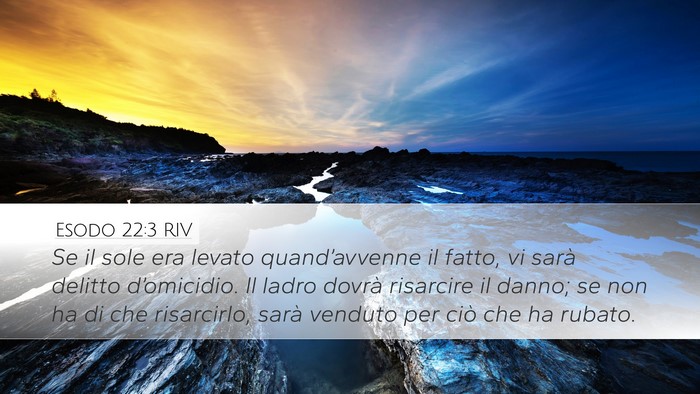 Esodo 22:3 RIV Bible Verse Image