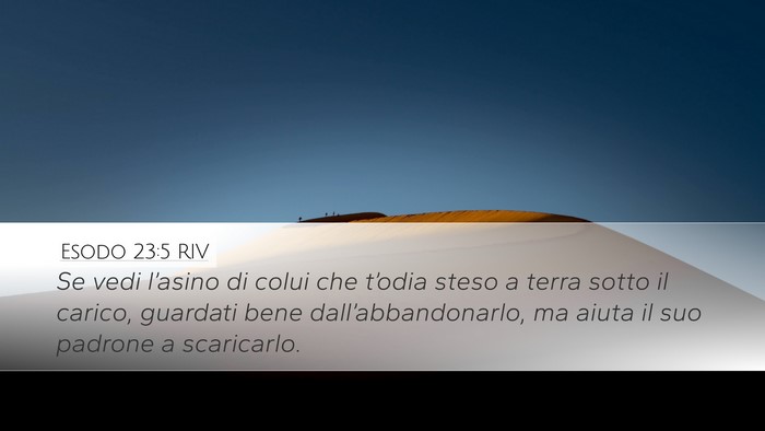 Esodo 23:5 RIV Bible Verse Image