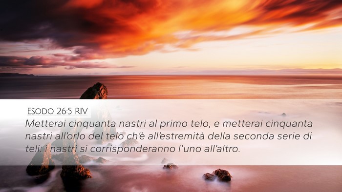 Esodo 26:5 RIV Desktop Wallpaper - Metterai cinquanta nastri al primo telo, e - Desktop Bible Verse Wallpaper