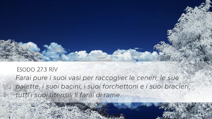 Esodo 27:3 RIV Bible Verse Image