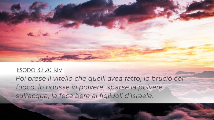 Esodo 32:20 RIV Bible Verse Image