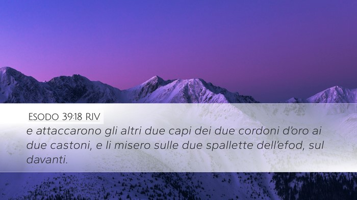Esodo 39:18 RIV Bible Verse Image