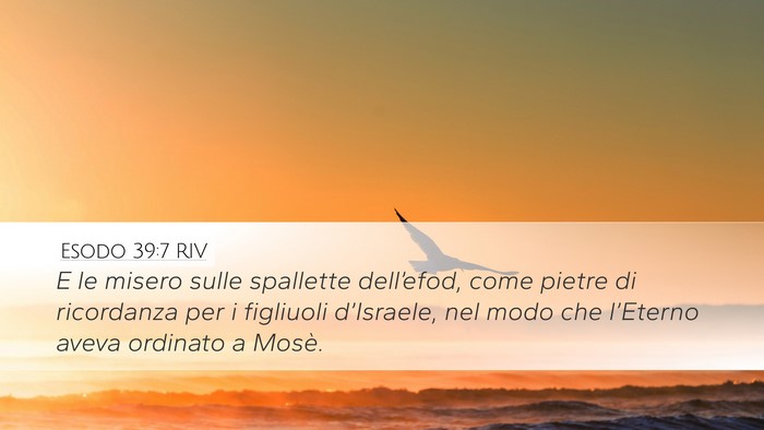 Esodo 39:7 RIV Desktop Wallpaper - E le misero sulle spallette dell’efod, come - Desktop Bible Verse Wallpaper