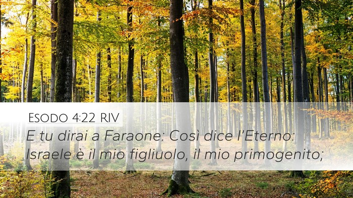 Esodo 4:22 RIV Bible Verse Image