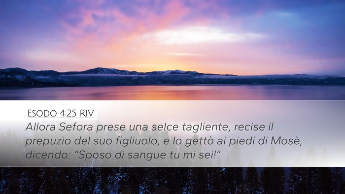 Esodo 4:25 RIV Bible Verse Image