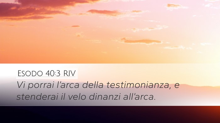 Esodo 40:3 RIV Desktop Wallpaper - Vi porrai l’arca della testimonianza, e - Desktop Bible Verse Wallpaper