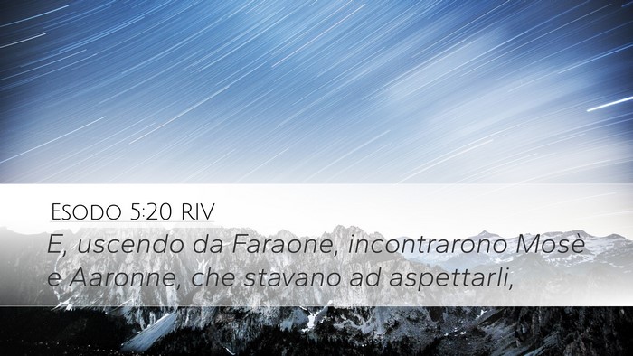 Esodo 5:20 RIV Desktop Wallpaper - E, uscendo da Faraone, incontrarono Mosè e - Desktop Bible Verse Wallpaper