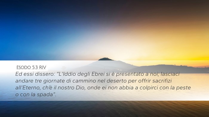 Esodo 5:3 RIV Bible Verse Image