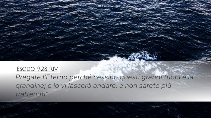 Esodo 9:28 RIV Bible Verse Image