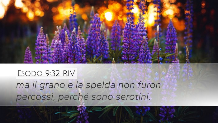 Esodo 9:32 RIV Bible Verse Image