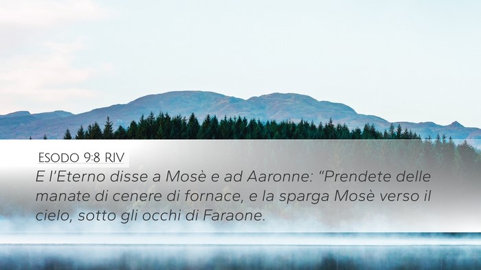 Esodo 9:8 RIV Bible Verse Image