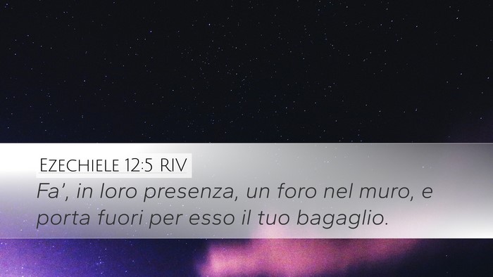 Ezechiele 12:5 RIV Bible Verse Image