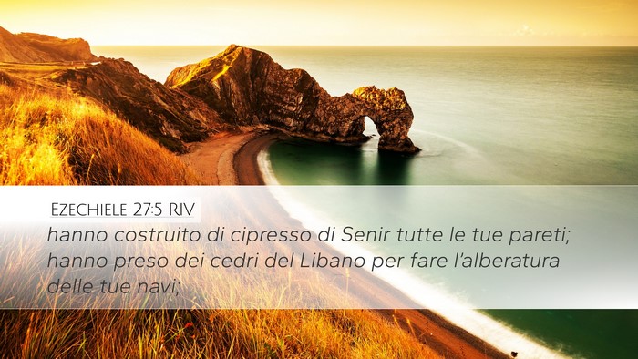 Ezechiele 27:5 RIV Bible Verse Image