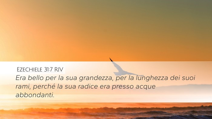 Ezechiele 31:7 RIV Desktop Wallpaper - Era bello per la sua grandezza, per la lunghezza - Desktop Bible Verse Wallpaper
