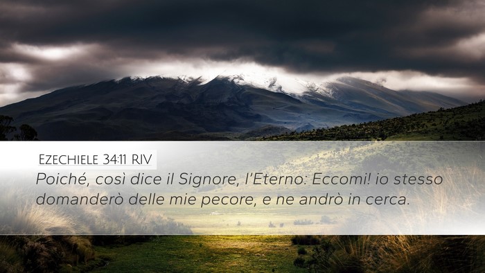 Ezechiele 34:11 RIV Bible Verse Image