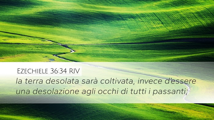 Ezechiele 36:34 RIV Bible Verse Image