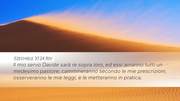 Ezechiele 37:24 RIV Bible Verse Image