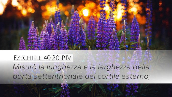 Ezechiele 40:20 RIV Bible Verse Image
