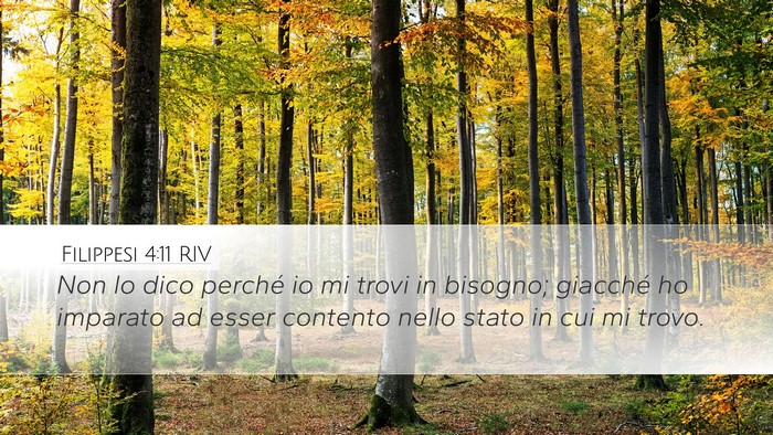 Filippesi 4:11 RIV Bible Verse Image
