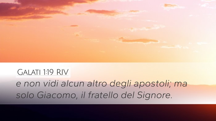 Galati 1:19 RIV Bible Verse Image