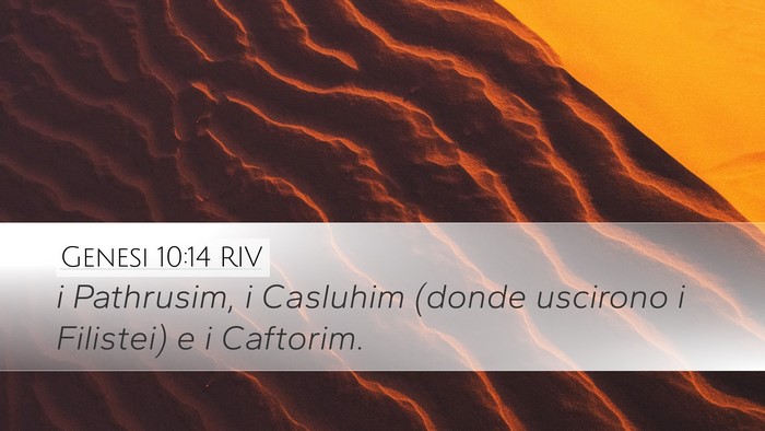 Genesi 10:14 RIV Bible Verse Image