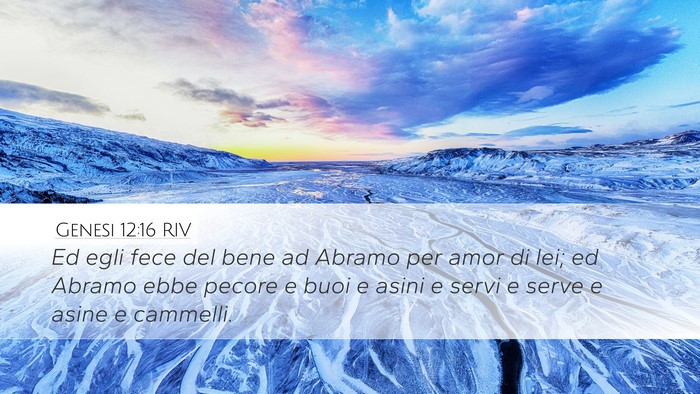 Genesi 12:16 RIV Bible Verse Image