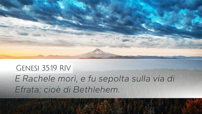 Genesi 35:19 RIV Bible Verse Image