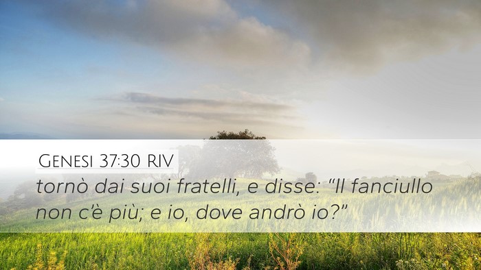Genesi 37:30 RIV Bible Verse Image