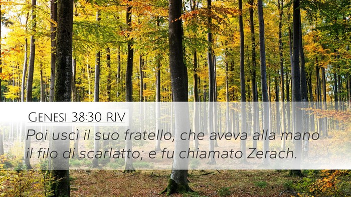 Genesi 38:30 RIV Bible Verse Image