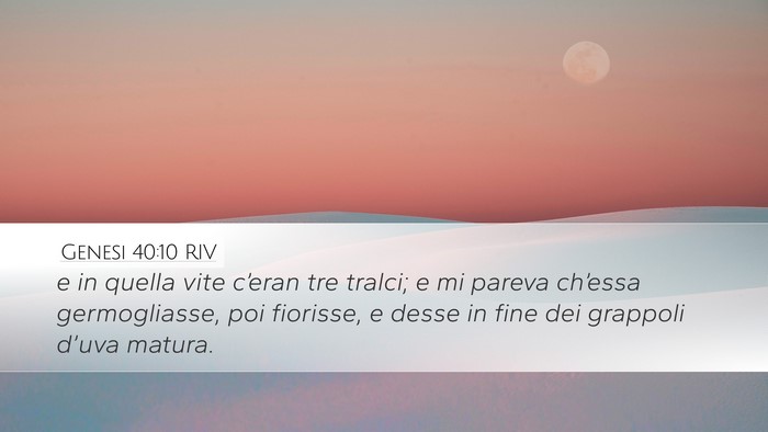 Genesi 40:10 RIV Bible Verse Image