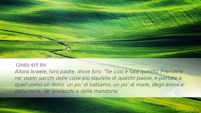 Genesi 43:11 RIV Bible Verse Image