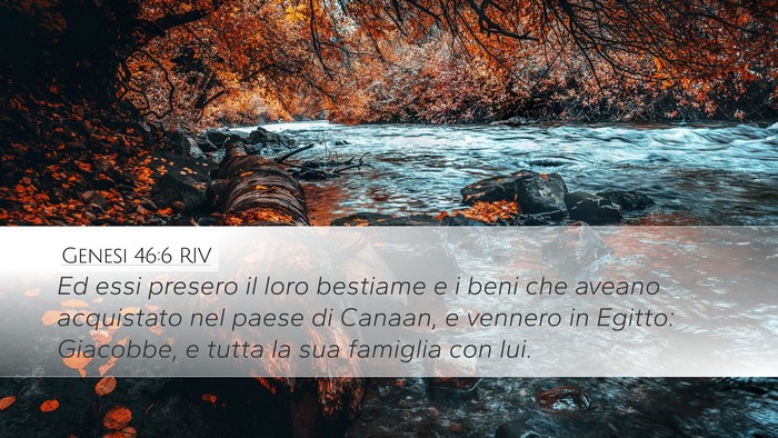 Genesi 46:6 RIV Bible Verse Image