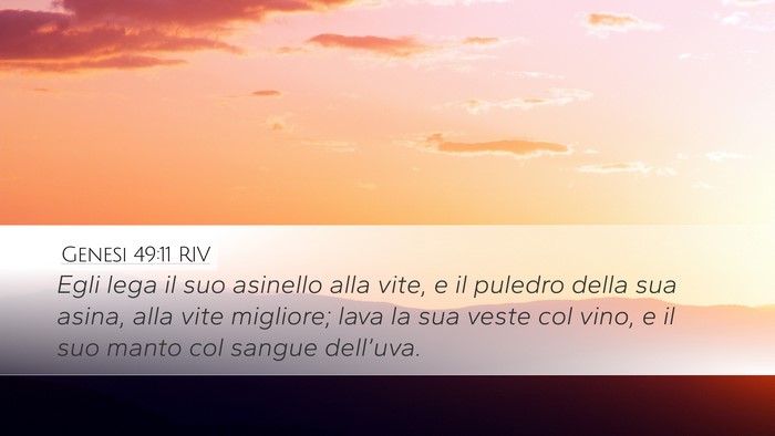 Genesi 49:11 RIV Bible Verse Image