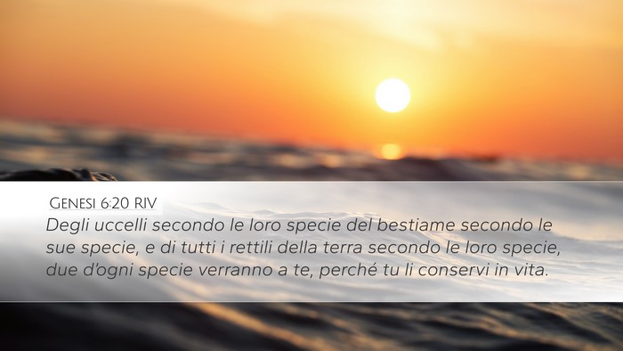 Genesi 6:20 RIV Bible Verse Image
