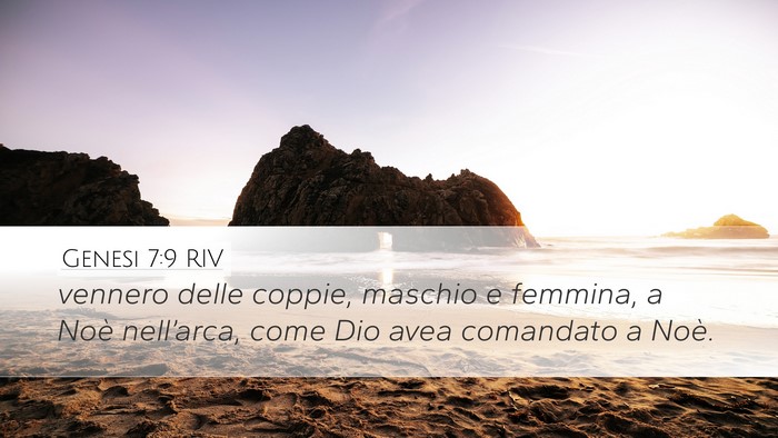 Genesi 7:9 RIV Desktop Wallpaper - vennero delle coppie, maschio e femmina, a Noè - Desktop Bible Verse Wallpaper