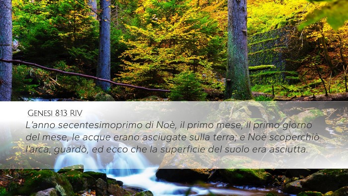 Genesi 8:13 RIV Bible Verse Image