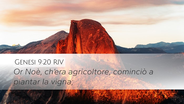 Genesi 9:20 RIV Desktop Wallpaper - Or Noè, ch’era agricoltore, cominciò a - Desktop Bible Verse Wallpaper