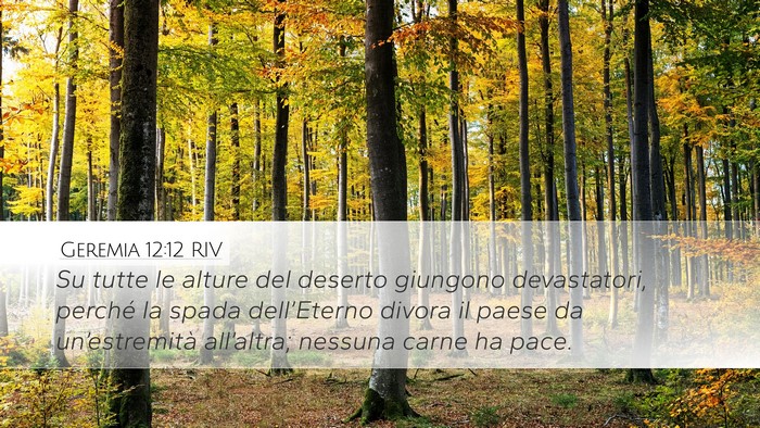 Geremia 12:12 RIV Bible Verse Image