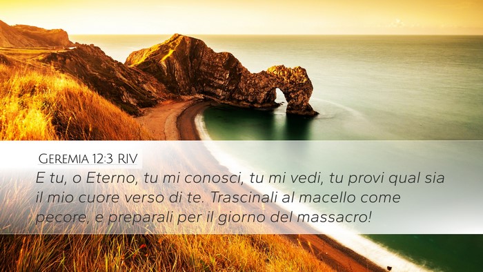 Geremia 12:3 RIV Bible Verse Image